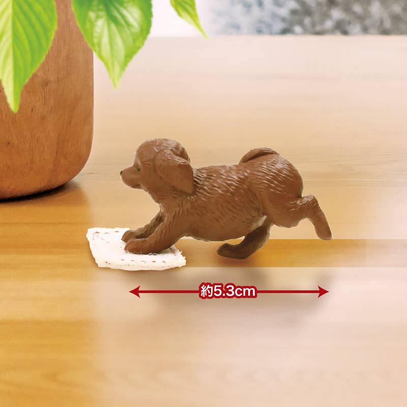 【JAPANESE BLIND BOX】FLOOR SCRUBBING DUTY – ALL FOR ONE!