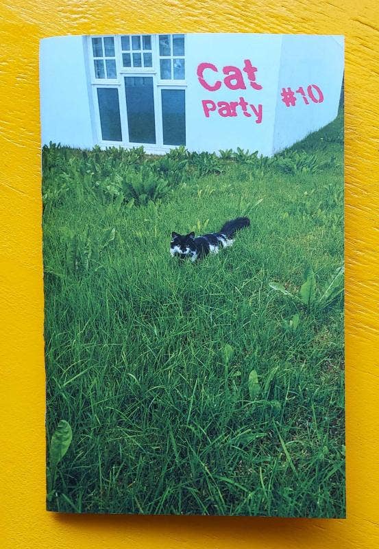 Cat Party #10 (Zine)