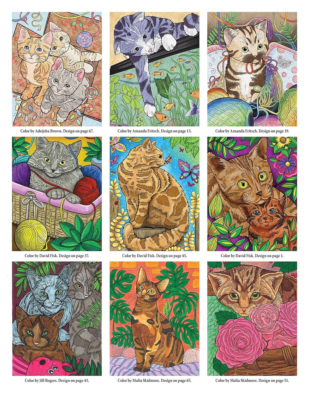 Cats &amp; Kittens Coloring Book - Color and Learn about Cats