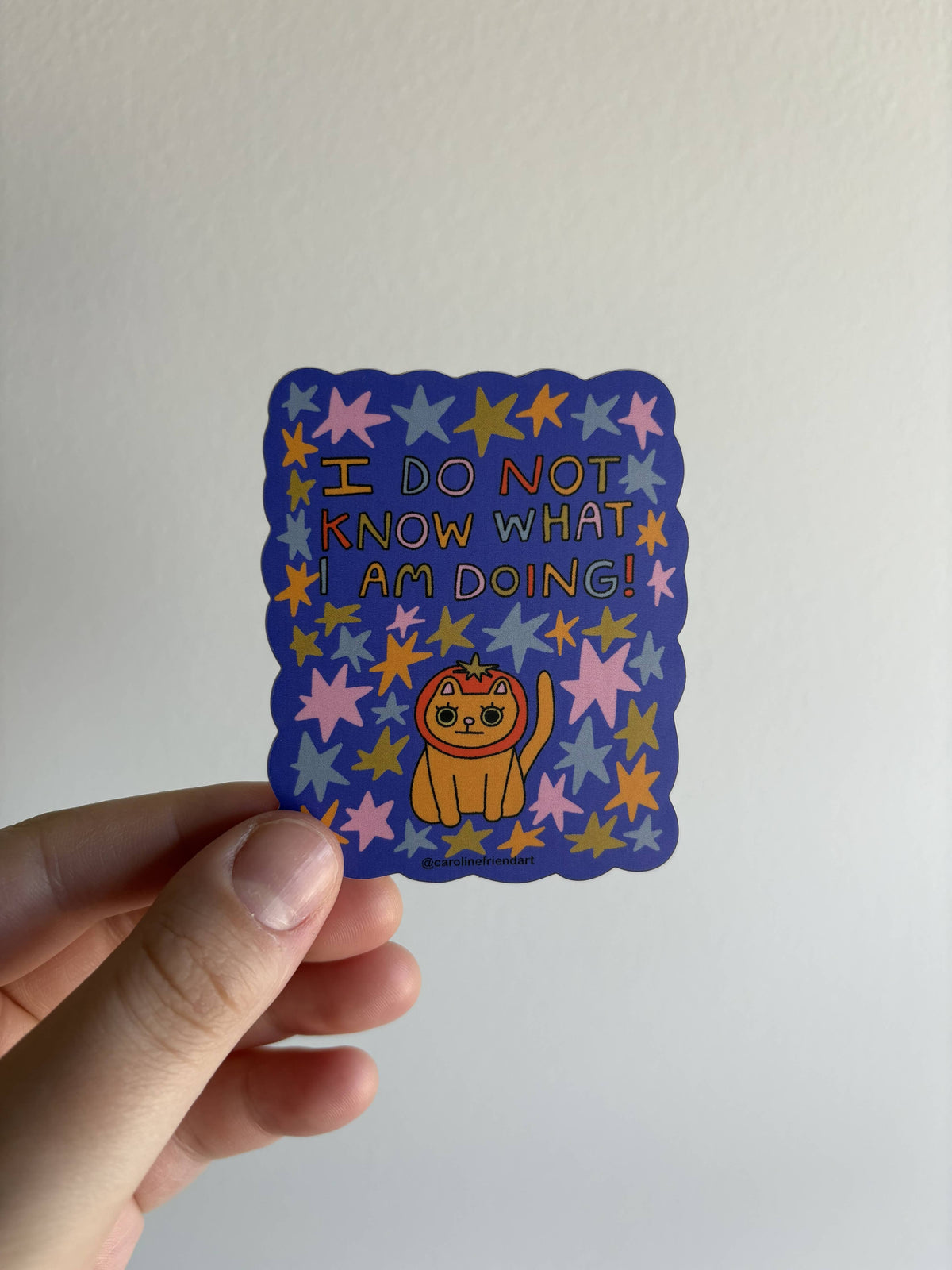 I Do Not Know What I Am Doing Sticker | Vinyl Waterproof Cat