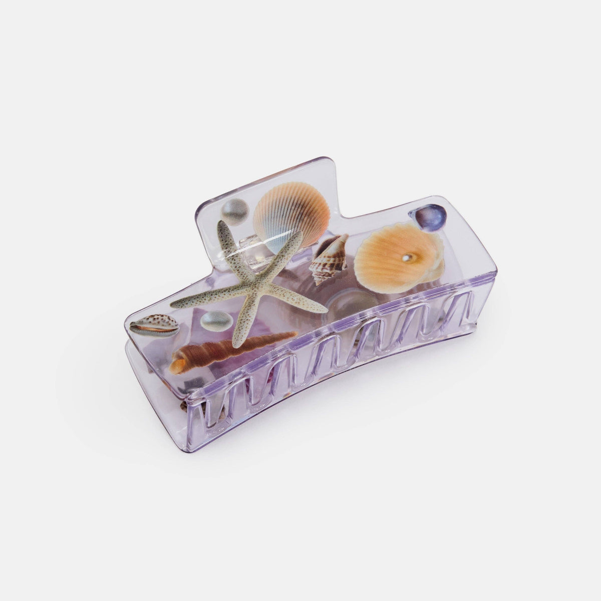Box Claw in Seashell