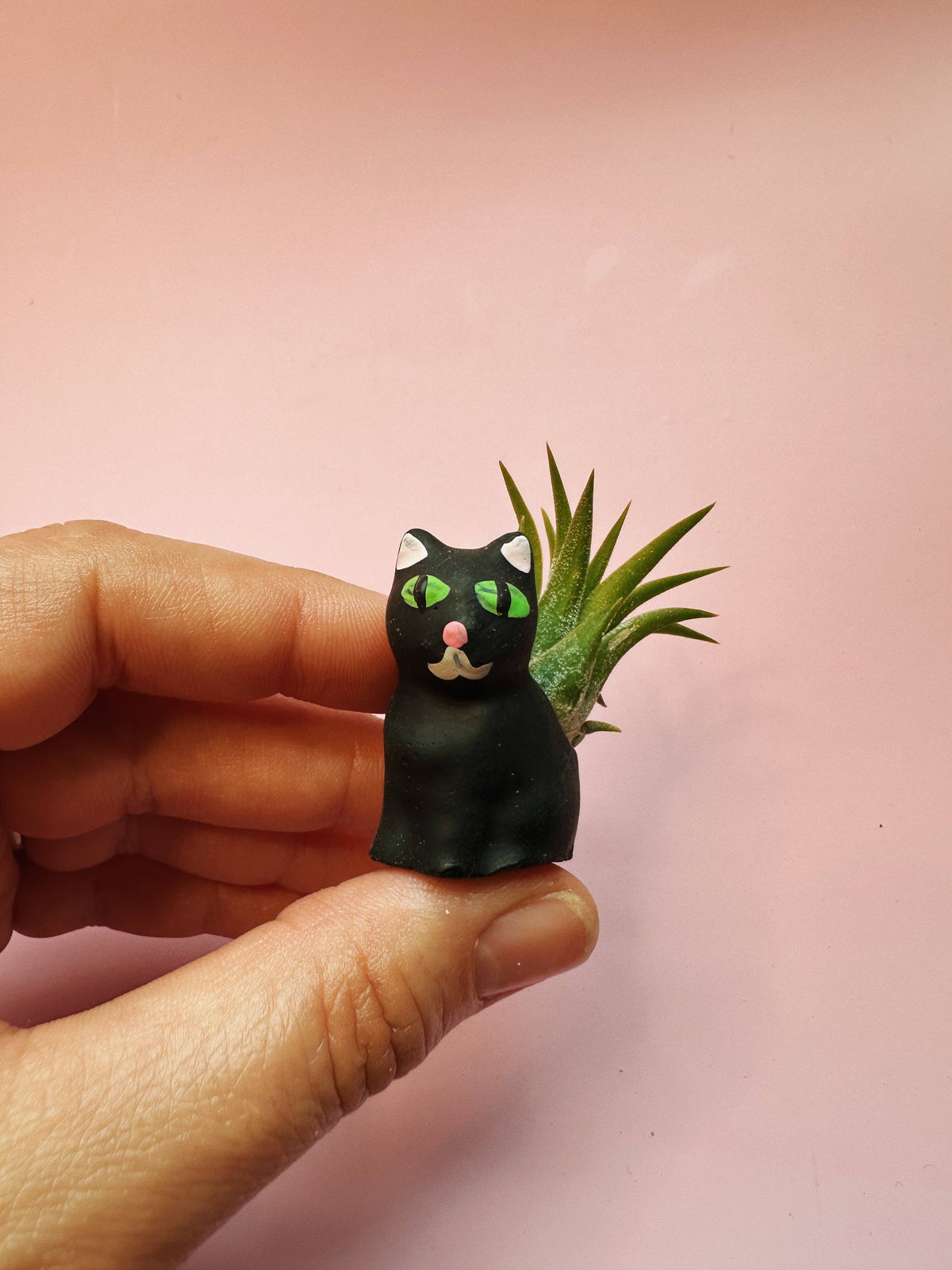 Black Curio Cat Mini Planter with Plant