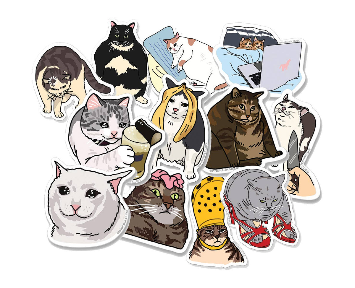 Cat Meme Die-Cut Stickers: Net flix