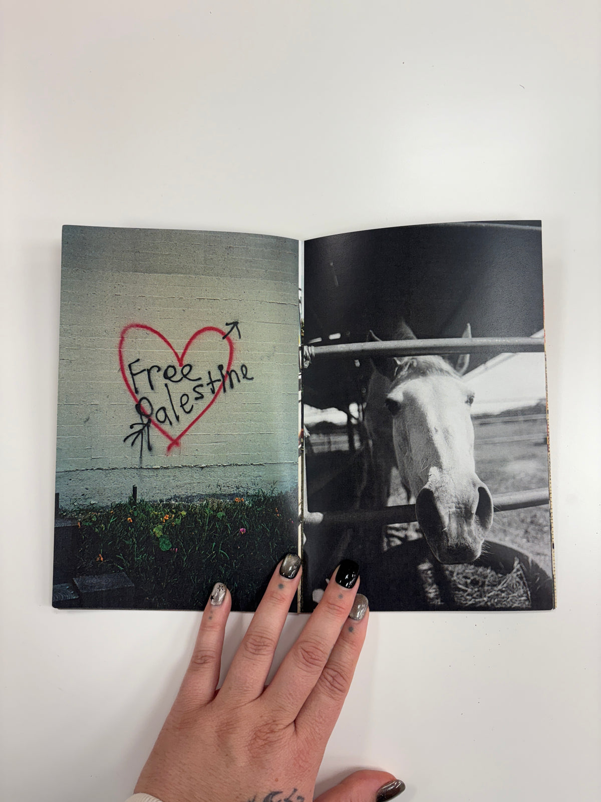 I love you San Diego Zine