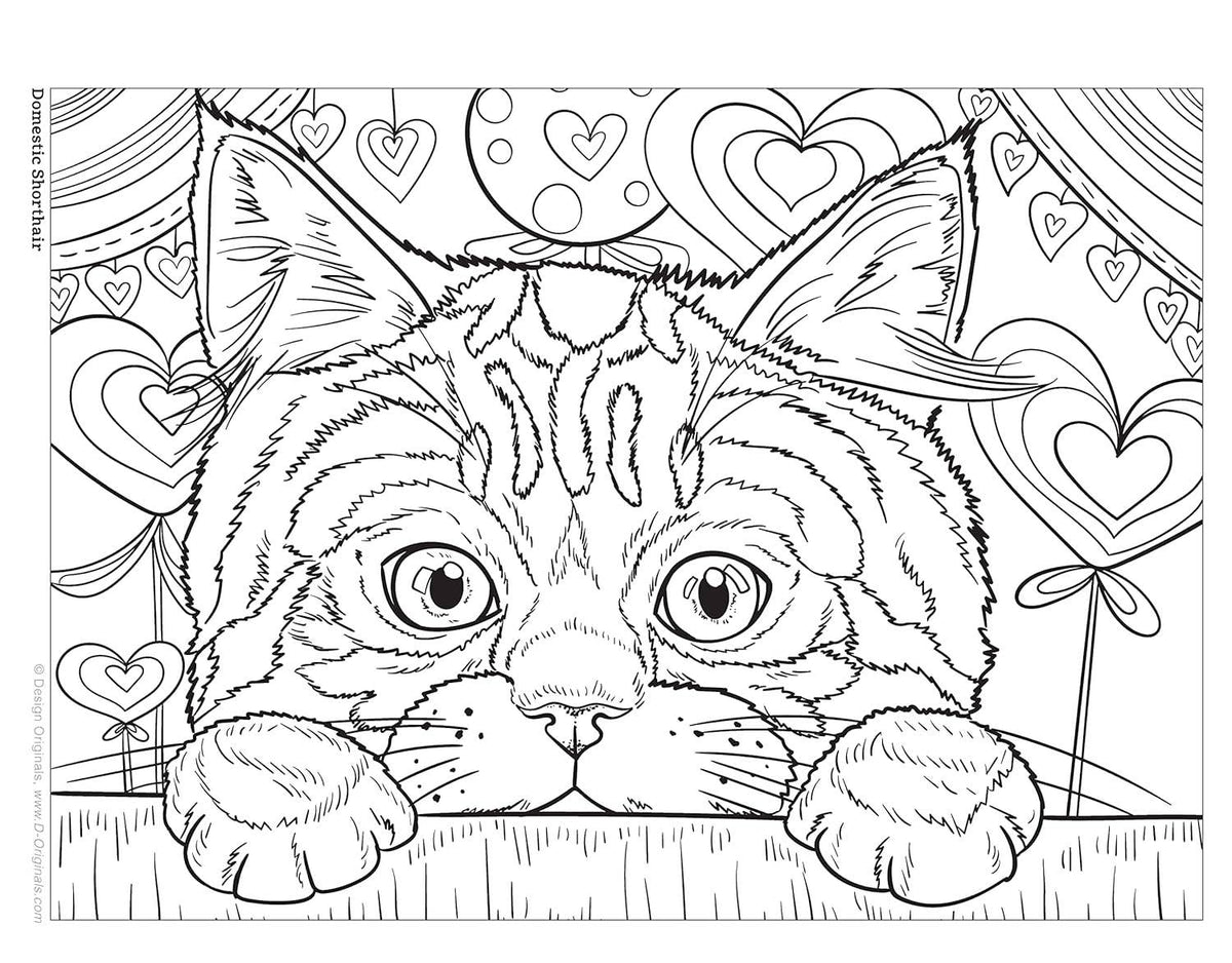 Cats &amp; Kittens Coloring Book - Color and Learn about Cats