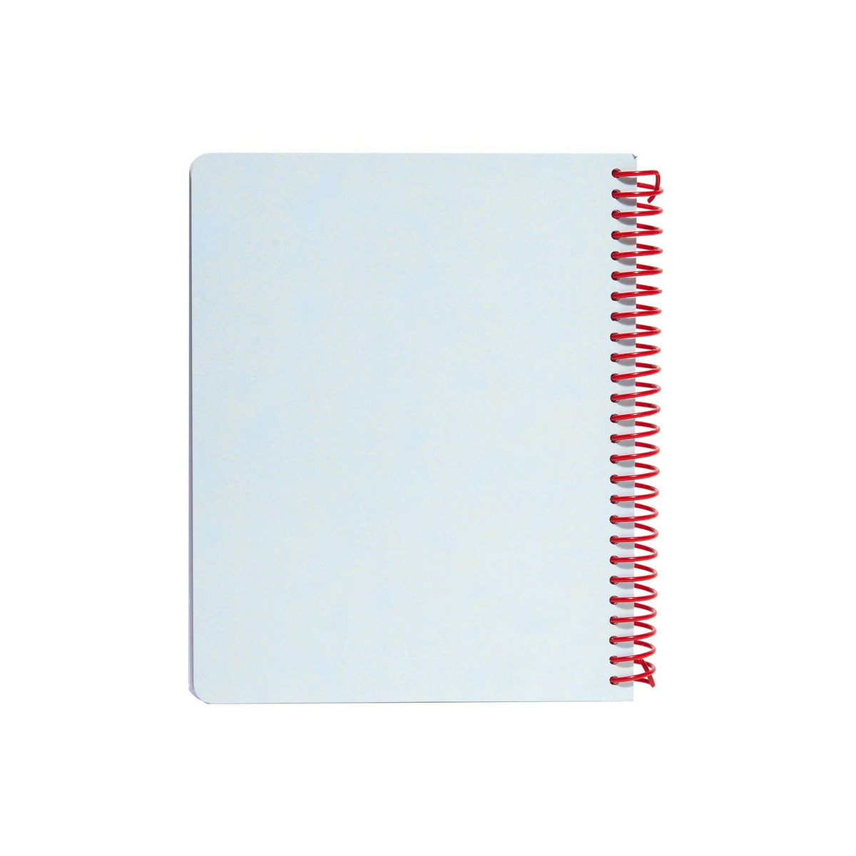 Chicle Spiral Notebook