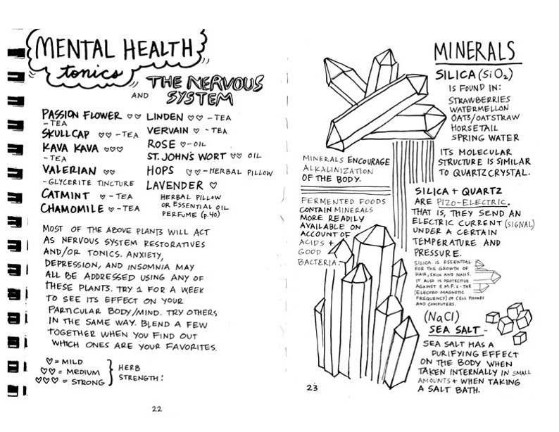Healing Your Magical Body with Plants & Minerals (Zine)
