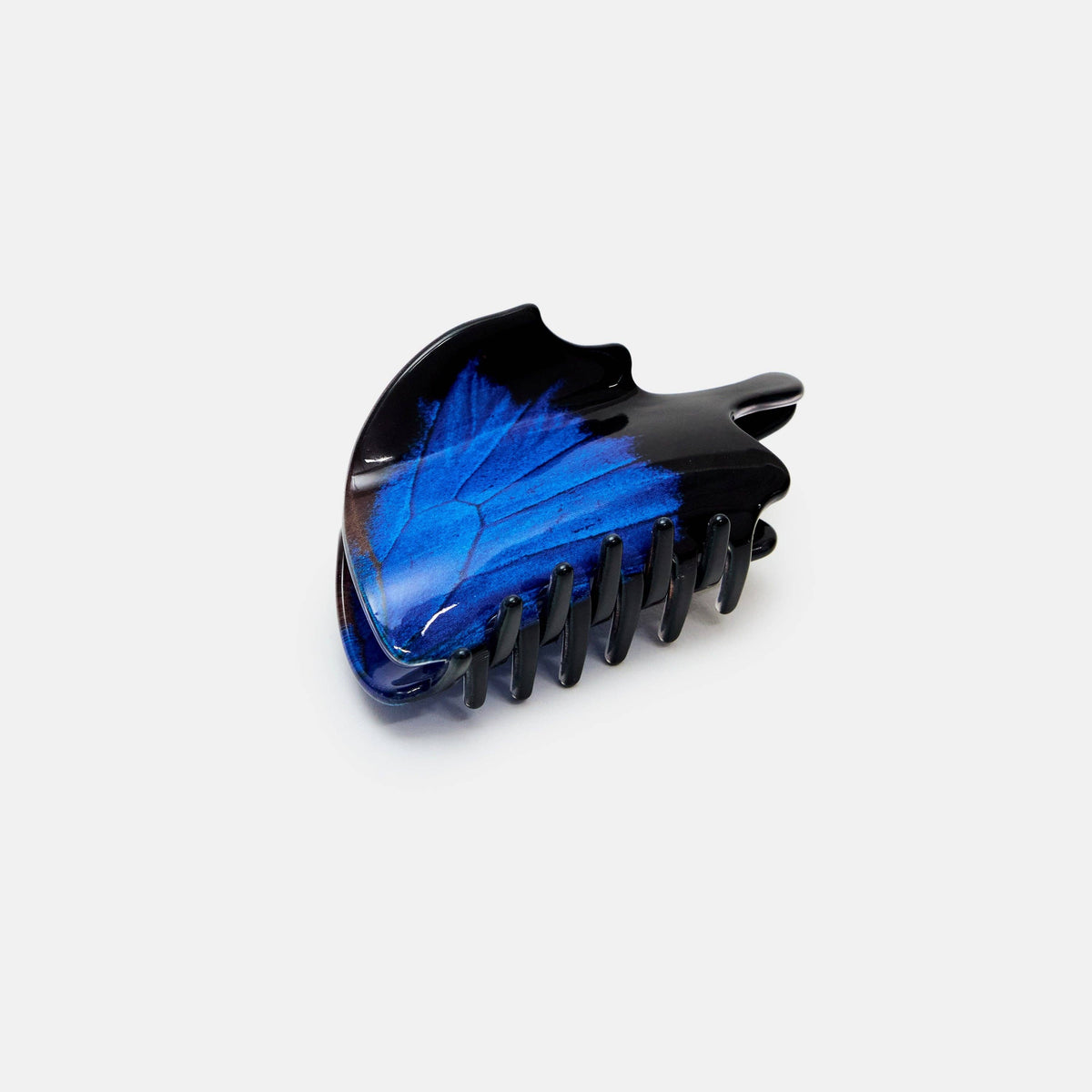 Swallowtail Butterfly Claw