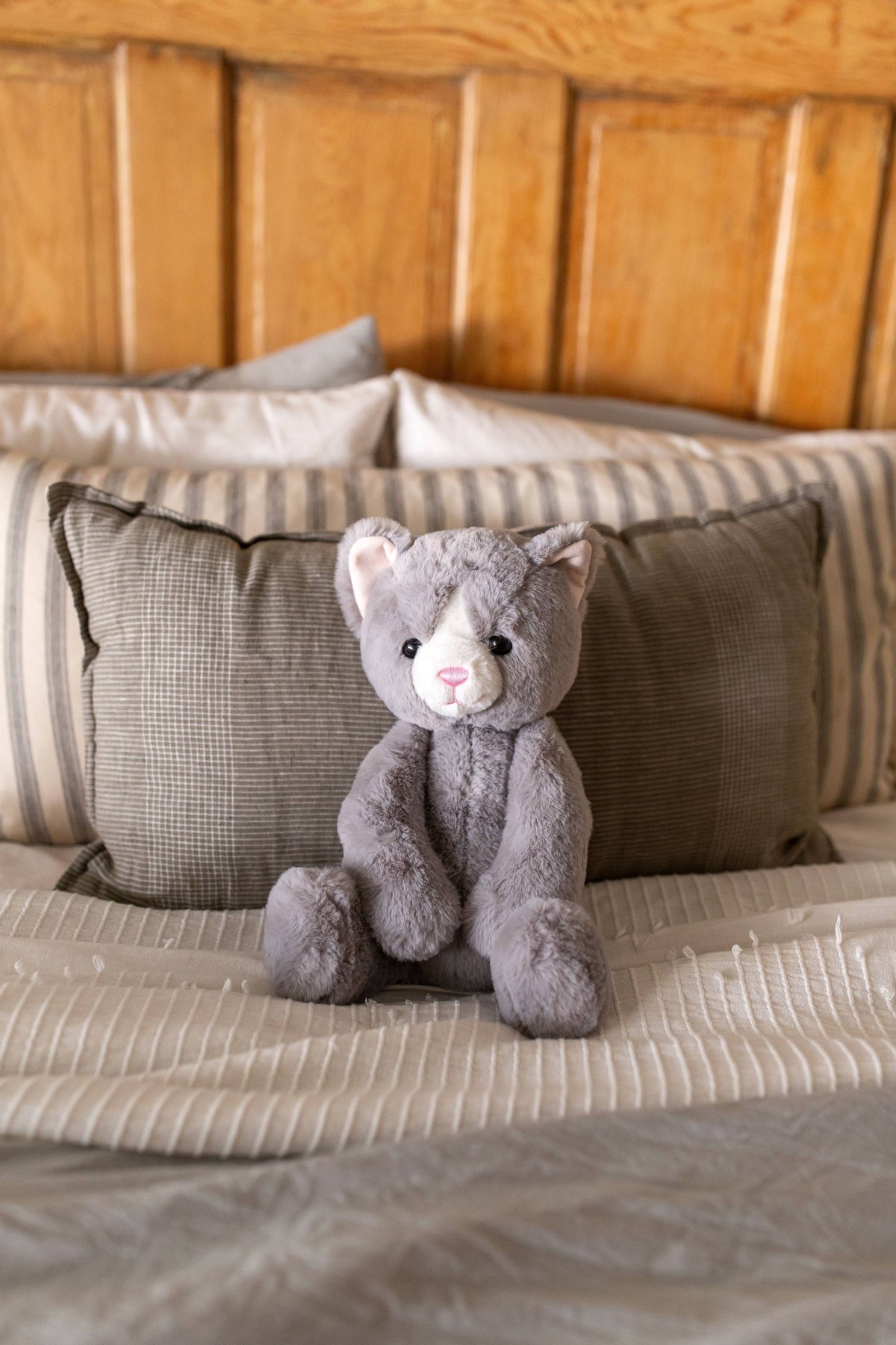 Lushee 16 inch - Karing Kitten Gry Plush Toy
