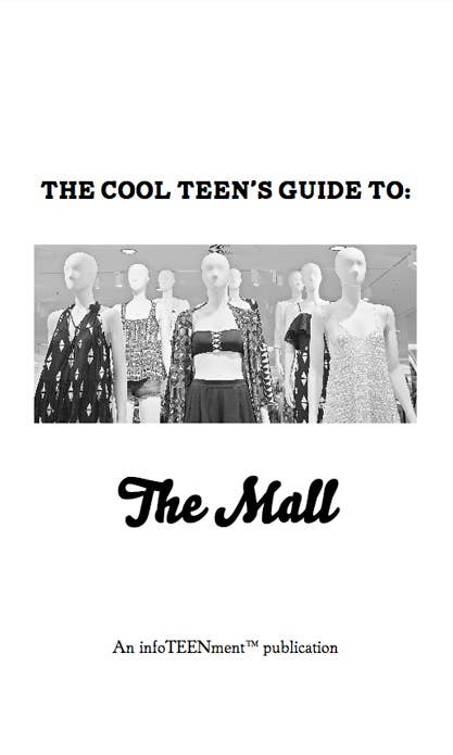 Cool Teen's Guide To The Mall (Zine)