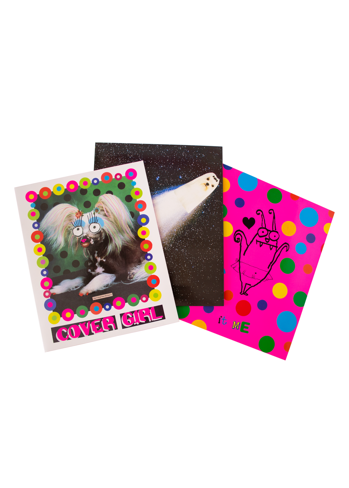Organized chaos pocket folder set